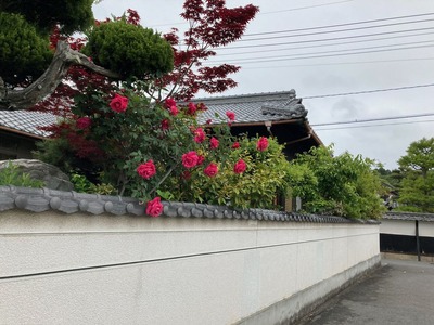 9D927F43-7C2E-49A5-AD37-8EE60BABB736