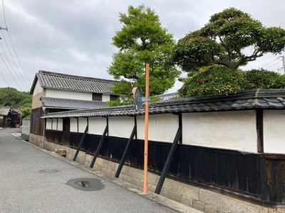 D11BF9A0-7949-41B5-A992-7BDEBFEDD193