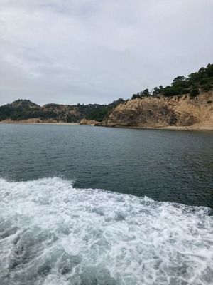 A0D93D50-4056-4F77-AA90-C46BA1BFFAC7