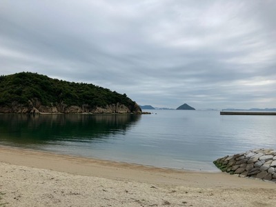 0A284529-45D8-4D49-86ED-704E13018D35