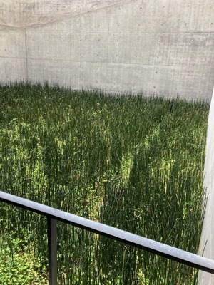 1FD098D2-322A-4A9C-A78B-47A42138BDB0