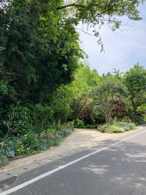 1FC692F8-931F-4D5B-A3CA-872D71353035