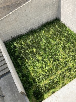 EB8FBF81-A86E-46B7-96B7-65F38FB48642