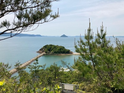 CD280B51-62E4-46C5-B47D-4AEAFDEE68DA