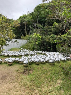 937D06DE-FB45-4A8F-B2FB-60407F0EE8CC