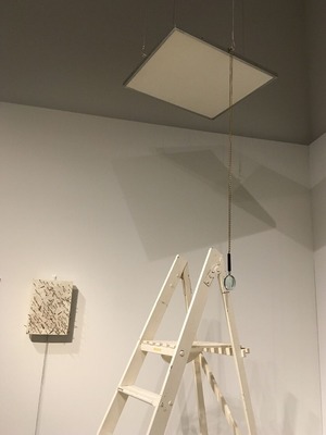 78EB0D34-9332-4431-A806-2864D52C6DC4