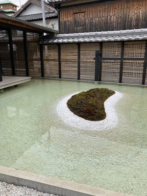 43E0C2FF-1F9F-4ADF-8748-0D3CE1E40951