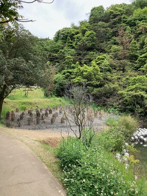 5990C060-C5FD-4230-9095-9D5CB6A75157