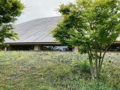 A5B739BC-6CCE-44EC-B14A-983B6844CAB4