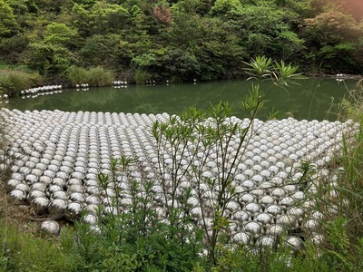 37B81936-4768-455C-8682-17F1E70C87D3