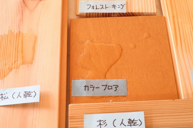 カラーフロア