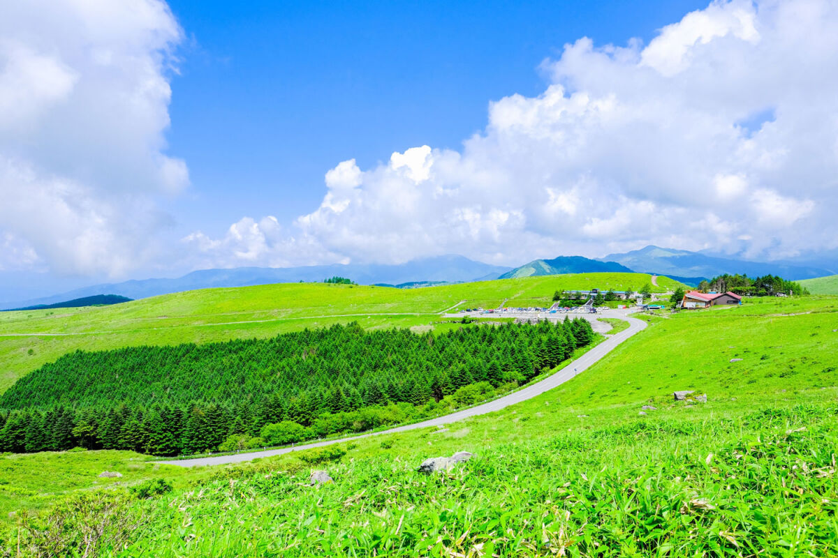 おすすめのドライブ、ツーリングスポットある？