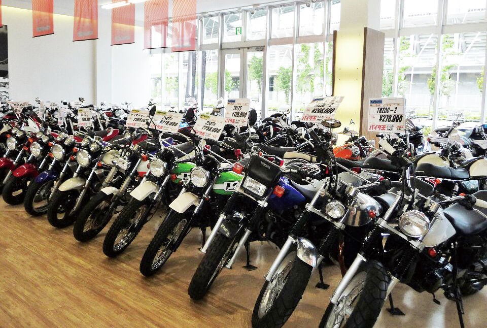 【急募】バイクってどうやって選ぶんや？