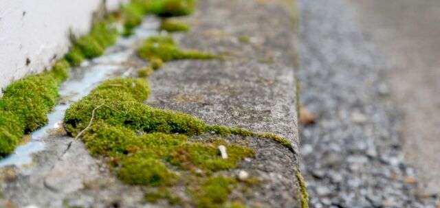 道路のコケで滑って怪我して市を訴えた男→国土交通省の職員と判明！！！