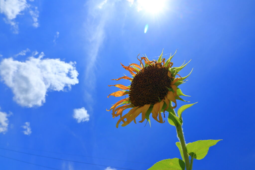 真夏にフルフェイスヘルメットかぶるって拷問かよ？