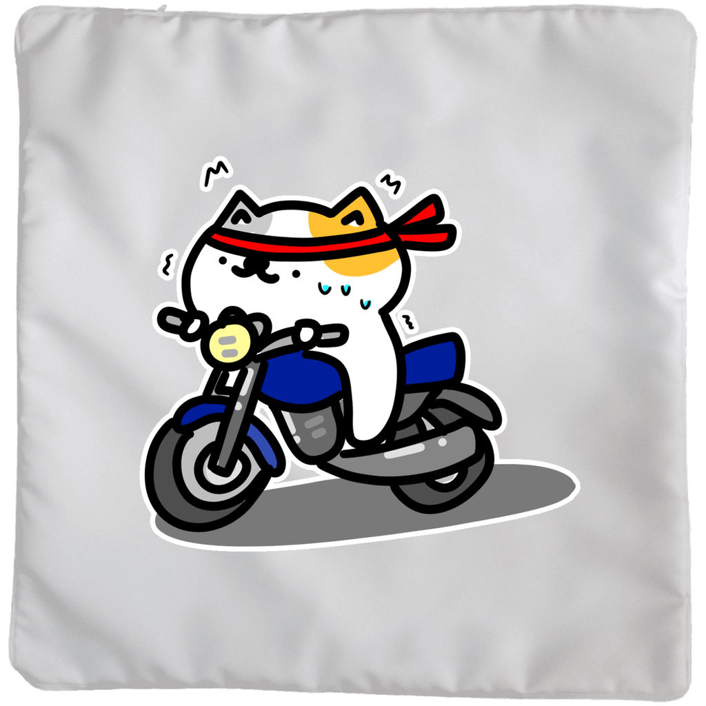 【悲報】大型バイク乗りたいのに足がつかないよ…