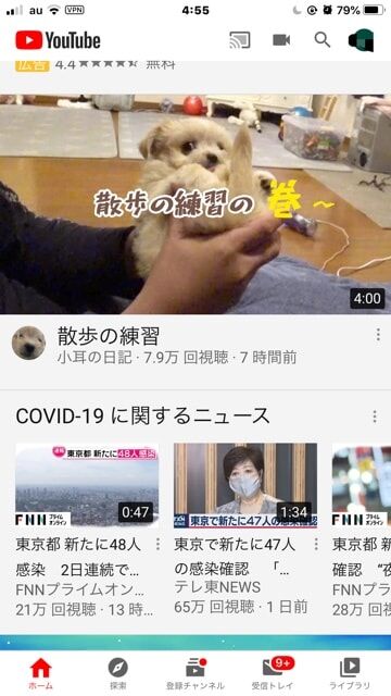 【画像】弱小バイクYouTuberさん、ツーリング中に偶然犬を拾って人気YouTuberへ