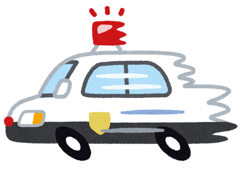 【画像】水没した車を助けに来たパトカー、自らもダイブｗｗｗ