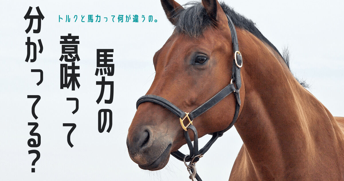 【討論】バイクの馬力について→何馬力が最適解なんだ？