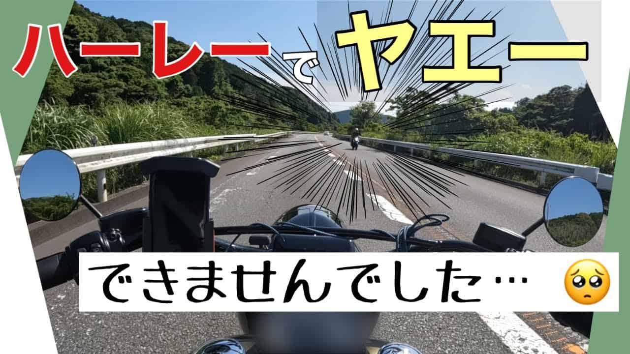 【謎】なんでハーレー乗りってすれ違う時ヤエーしてこないの？