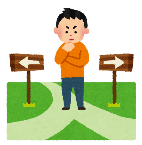 大型バイク欲しいンゴォどっちがおすすめや！