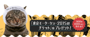 3a176696.png