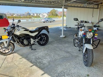 IMG20220228111433