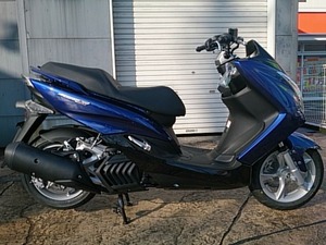 c2390055.jpg