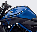 c31a9481.jpg
