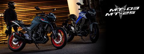 mt-25_index_key_2021_pc