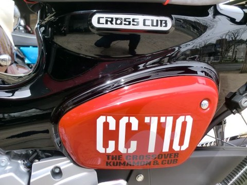 CIMG0066