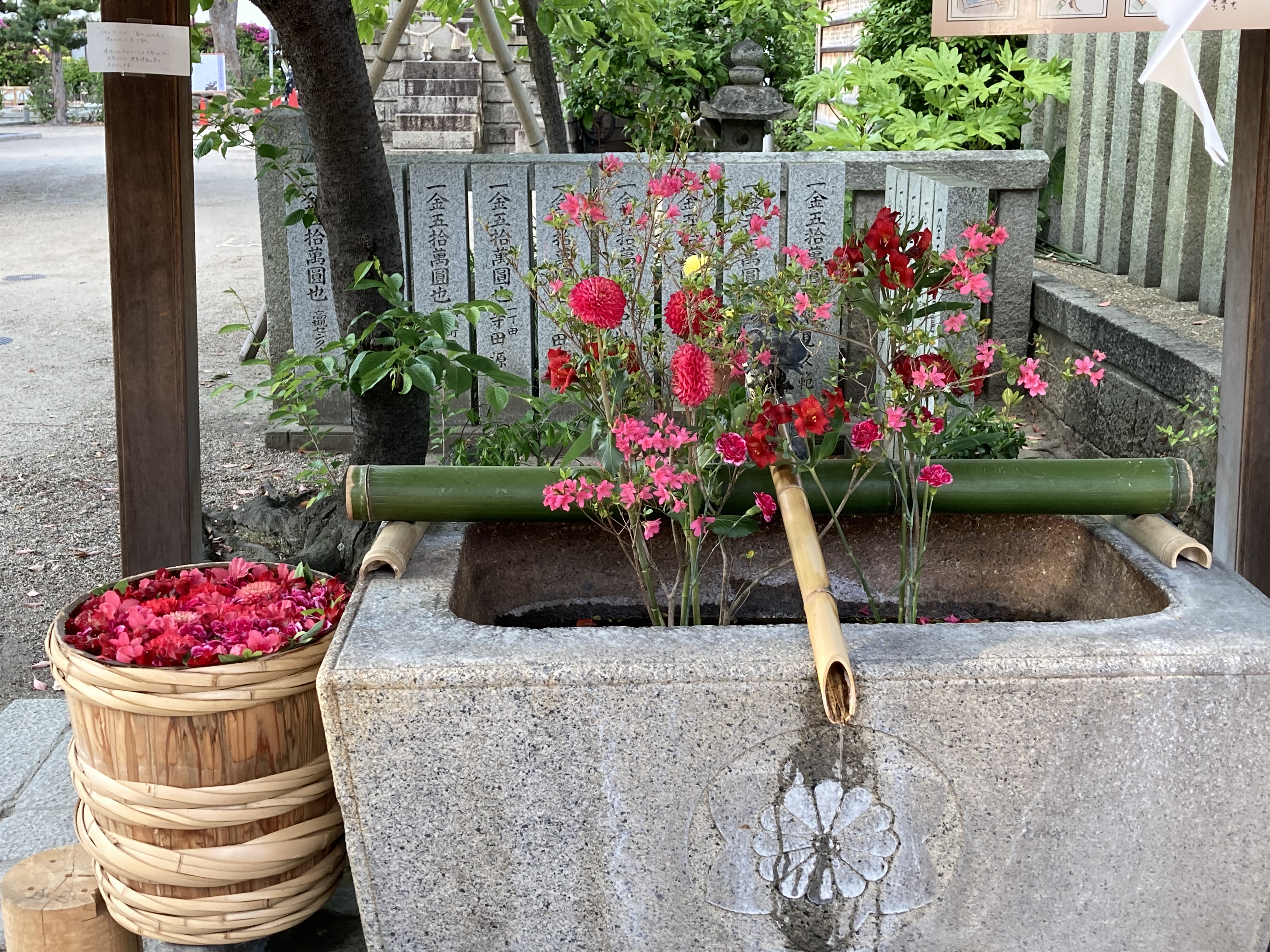 野見神社の花手水 石切の夕陽 リターンライダーの足跡