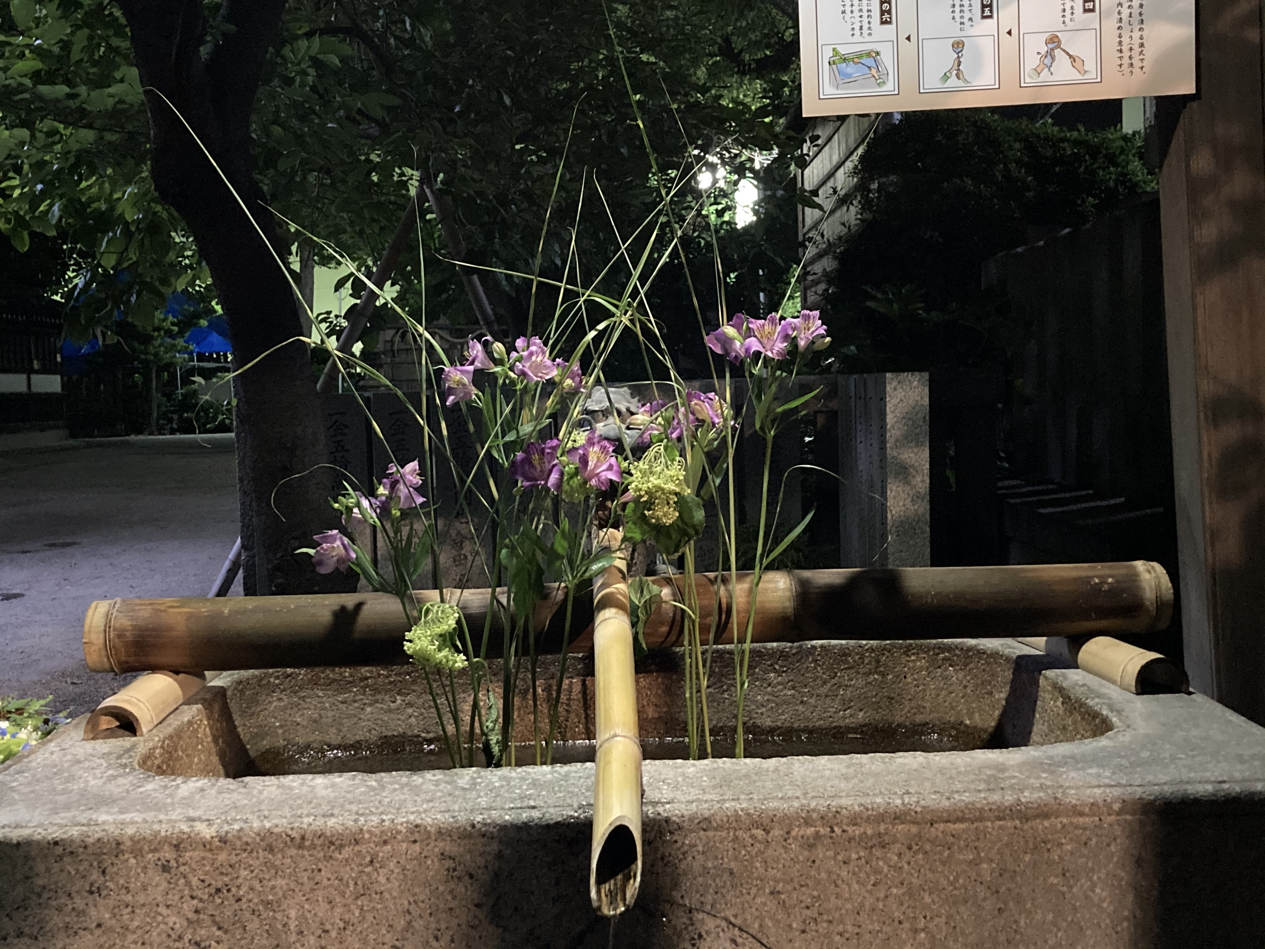 野見神社の花手水 十三大橋からの大阪夜景 リターンライダーの足跡 野見神社の花手水 十三大橋からの大阪夜景 リターンライダーの足跡