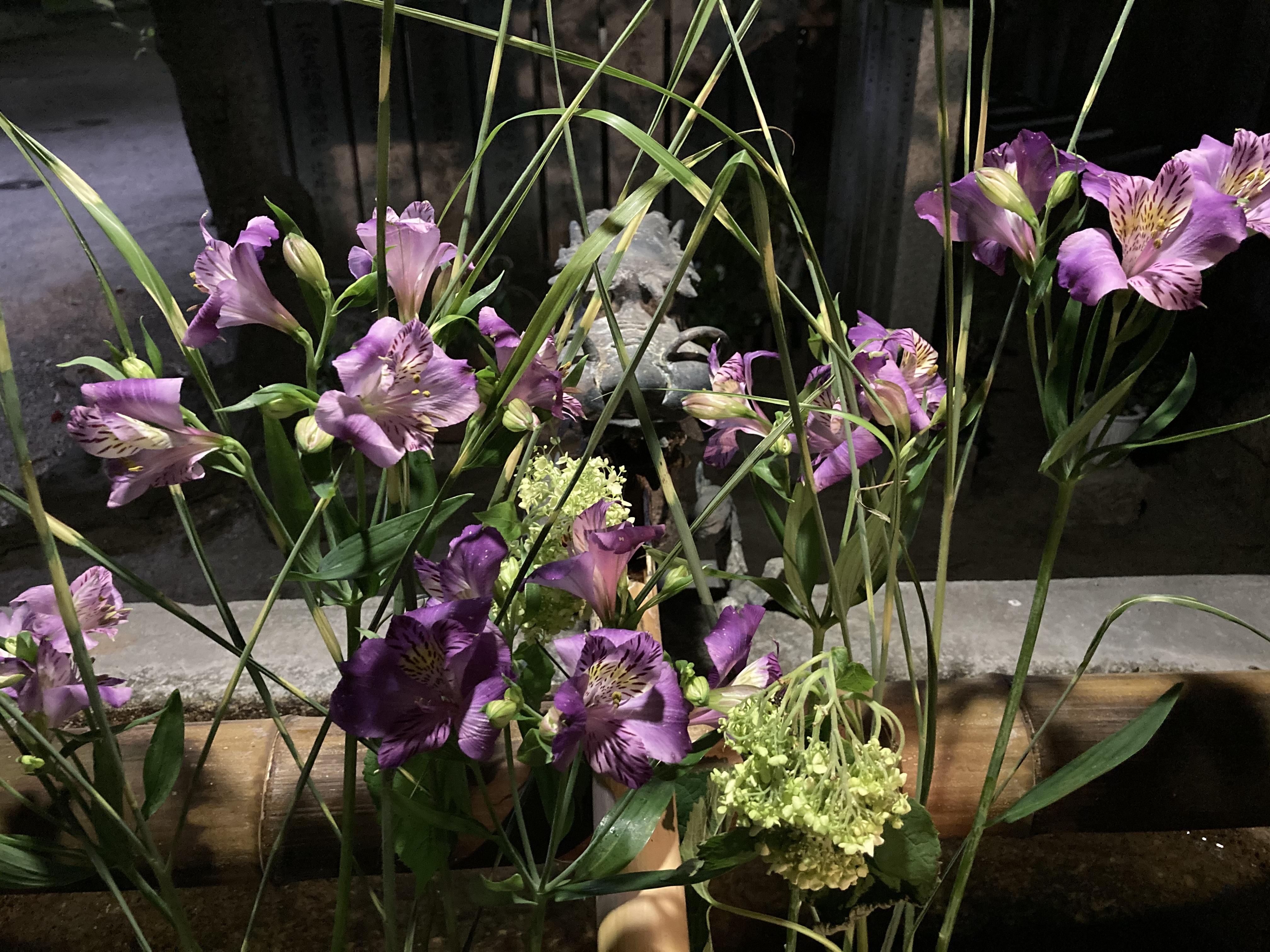 野見神社の花手水 十三大橋からの大阪夜景 リターンライダーの足跡 野見神社の花手水 十三大橋からの大阪夜景 リターンライダーの足跡