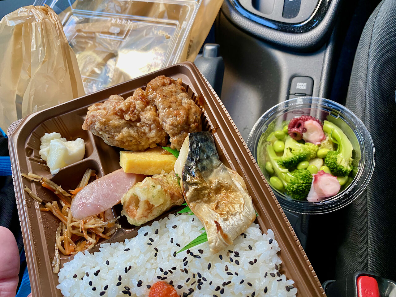 休麺14日目 セブンイレブン お好み幕の内弁当 走ってますかぁー 休麺14日目 セブンイレブン お好み幕の内弁当 走ってますかぁー