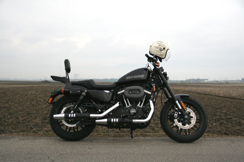XL1200CX デタッチャブル シーシーバー・キャリア取り付け : 風太郎の 