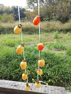 IMG_20201028_104848