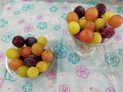 IMG_20230922_142404