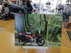 IMG_20200319_132328