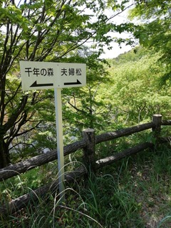 IMG_20250503_112129