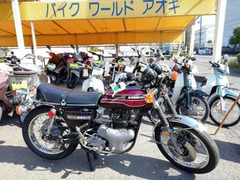 IMG_20231025_103442