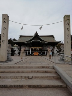 IMG_20230122_125914