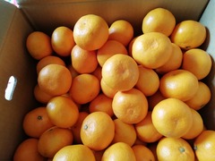 IMG_20201122_111905