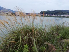 IMG_20210911_182120