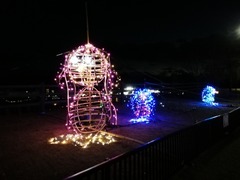 IMG_20201216_174224