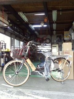 41acb525.jpg