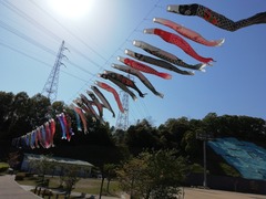 IMG_20210419_150206