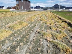 IMG_20191006_105035