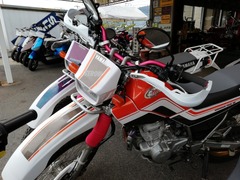 IMG_20220924_141212