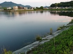 IMG_20200622_192707_1